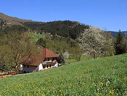 Ferienwohnungen Rotbauernhof