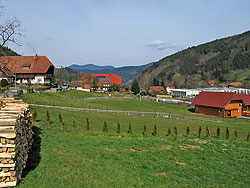 Ferienwohnungen Rotbauernhof