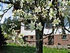 Unser Bauernhof