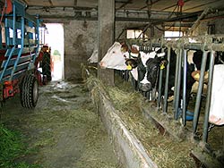 Unser Bauernhof
