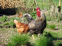 Unser Bauernhof
