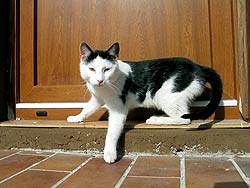 Unser Bauernhof