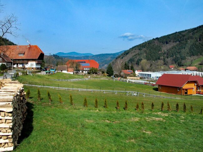 Rotbauernhof Haus und Umgebung 04