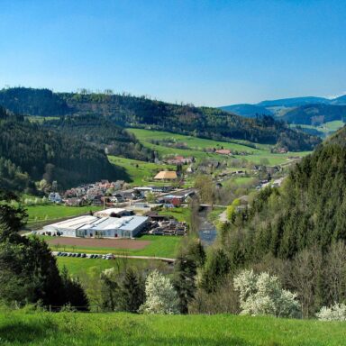 Rotbauernhof Haus und Umgebung 06