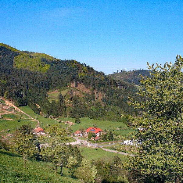 Rotbauernhof Haus und Umgebung 10