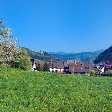 Rotbauernhof Haus und Umgebung 12